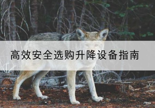 永平升降货梯厂家推荐-*安全选购升降设备指南