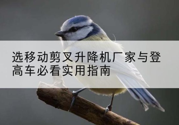 永平电动升降机厂家-选移动剪叉升降机厂家与登高车必看实用指南
