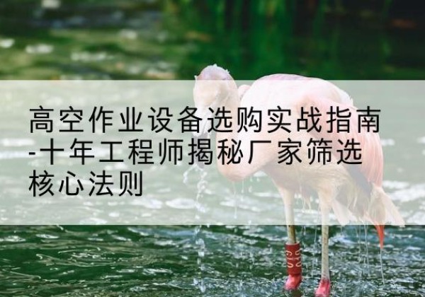 永平剪叉式升降机厂家-高空作业设备选购实战指南-十年工程师揭秘厂家筛选核心法则